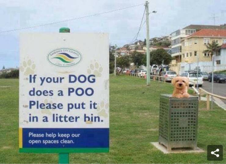 awesome random pics  - if your dog does a poo put - If your Dog does a PO0 Please put it in a litter bin. Please help keep our open spaces clean.