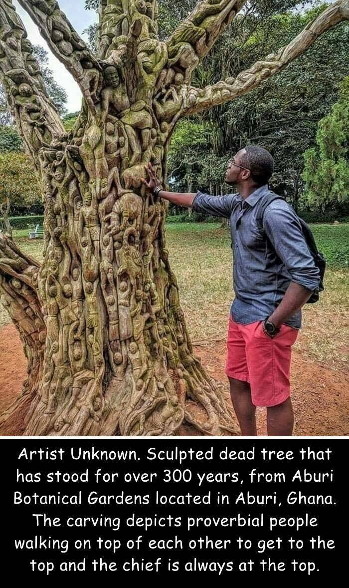 awesome random pics  - sculpted dead tree ghana - Artist Unknown. Sculpted dead tree that has stood for over 300 years, from Aburi Botanical Gardens located in Aburi, Ghana. The carving depicts proverbial people walking on top of each other to get to the 