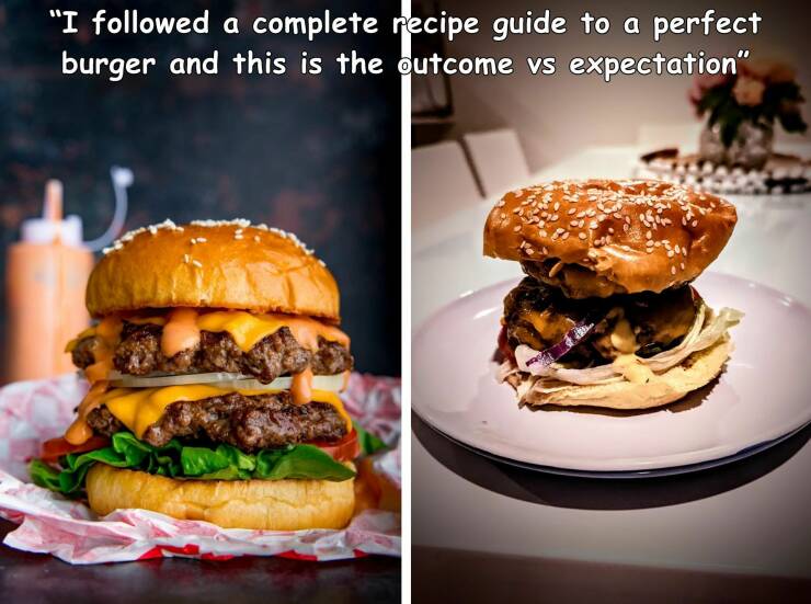 daily dose of randoms -  cheeseburger double - "I ed a complete recipe guide to a perfect burger and this is the outcome vs expectation"