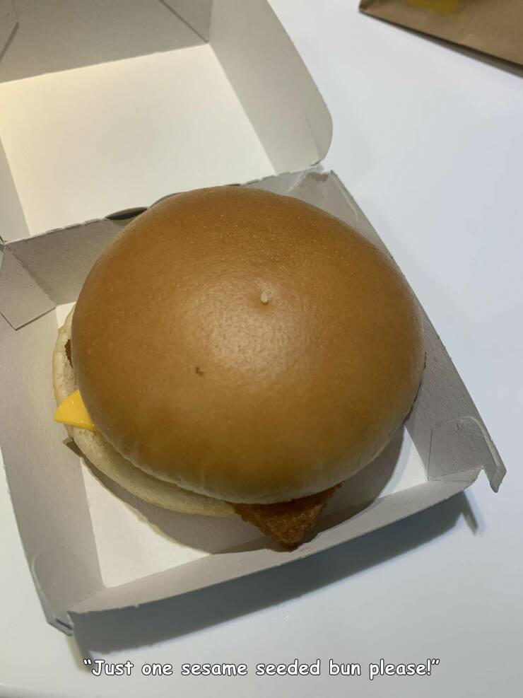 daily dose of randoms - cheeseburger - "Just one sesame seeded bun please!"
