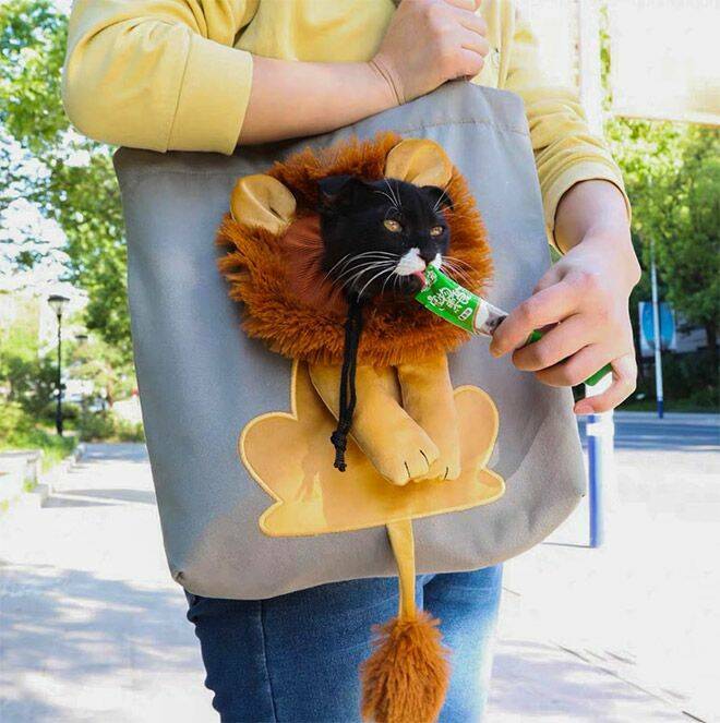 cool random pics - lion cat bag - Wh
