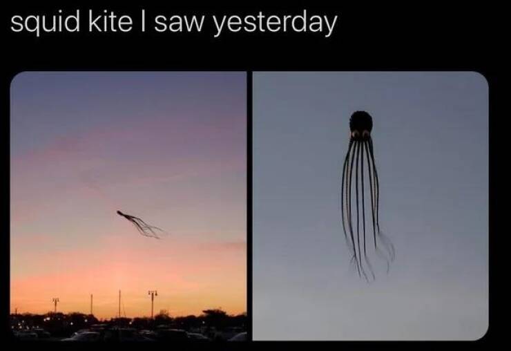 funny pics and cool randoms - sky - squid kite I saw yesterday