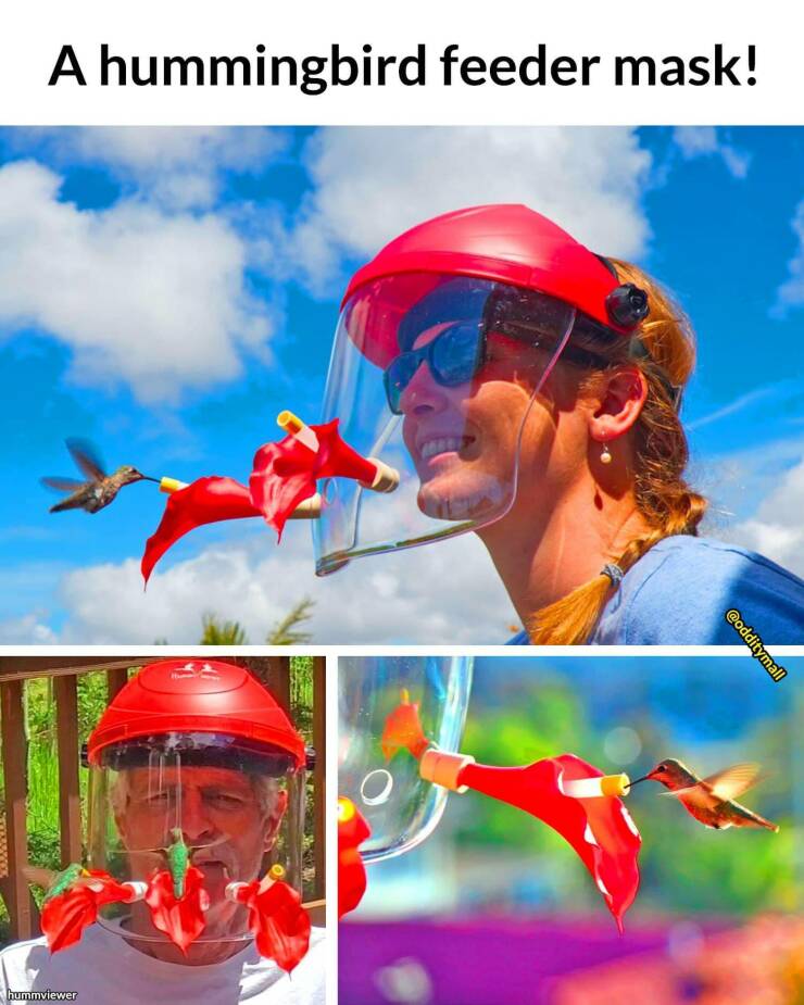 cool pics and random photos - fun - A hummingbird feeder mask! hummviewer