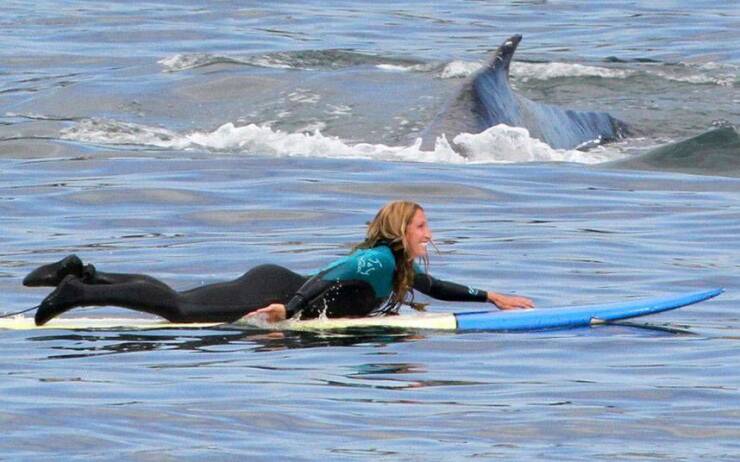 monday morning randomness - surfers and whales