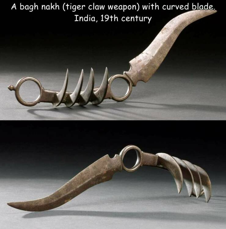 cool random pics - tiger claw knife forged in fire - A bagh nakh tiger claw weapon with curved blade. India, 19th century Wo
