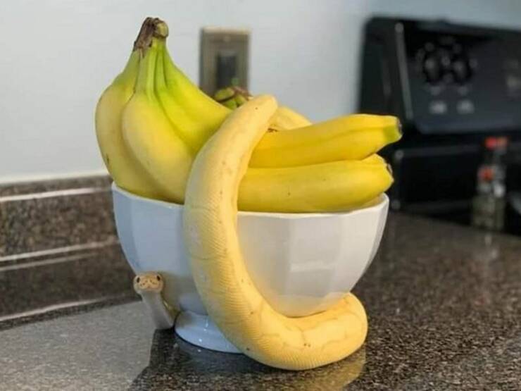 cool random pics - banana