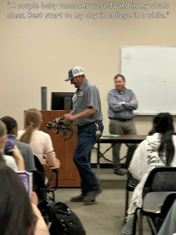 cool random pics - human behavior - "A couple baby raccoons were found in my stats class. Best start to my day in college in a while."