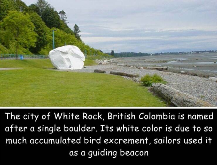 cool random pics - white rock white rock - The city of White Rock, British Colombia is named after a single boulder. Its white color is due to so much accumulated bird excrement, sailors used it as a guiding beacon