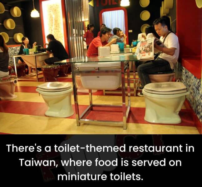 cool random pics - meal - There's a toiletthemed restaurant in Taiwan, where food is served on miniature toilets.