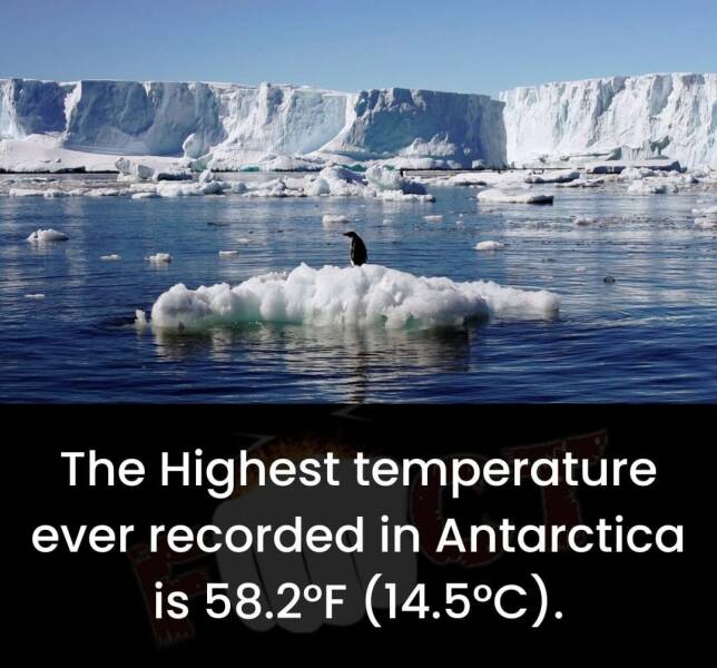 cool random pics - melting ice and rising sea levels - The Highest temperature ever recorded in Antarctica is 58.2F 14.5C.