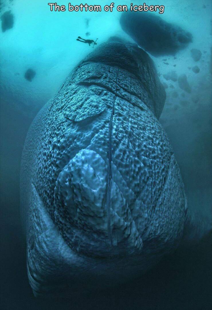 cool random pics - thalassophobia ice berge - The bottom of an iceberg