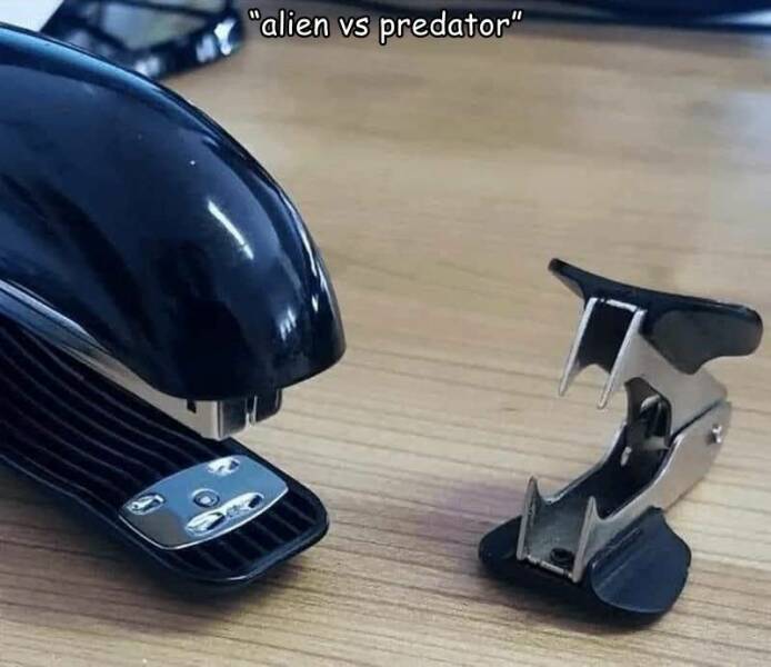 cool random pics - helmet - "alien vs predator"