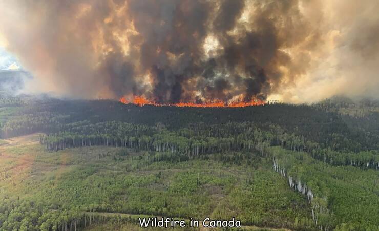 cool random pics - Wildfire - Wildfire in Canada