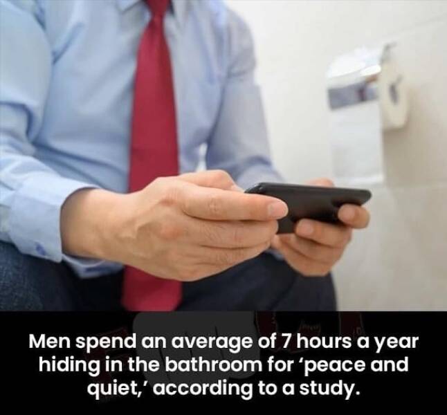 cool random pics - Toilet - Men spend an average of 7 hours a year hiding in the bathroom for 'peace and quiet,' according to a study.