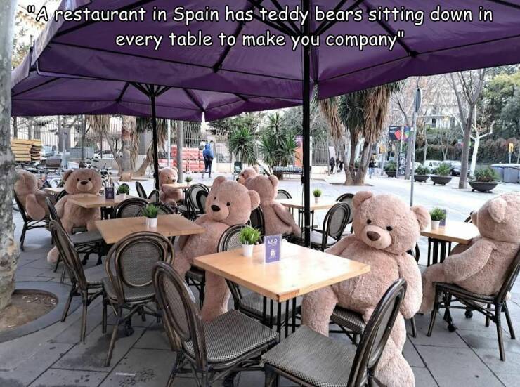 cool random pics - table - "A restaurant in Spain has teddy bears sitting down in every table to make you company"