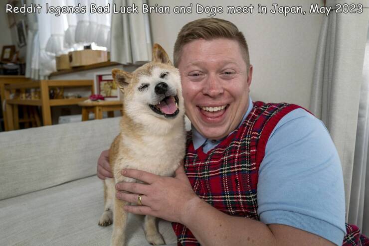 cool random pics -  dog - Reddit legends Bad Luck Brian and Doge meet in Japan,