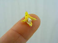 worlds smallest banana