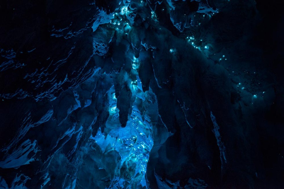 Psychedelic Glow Worms Turn A Cave Into A Underground Light Show