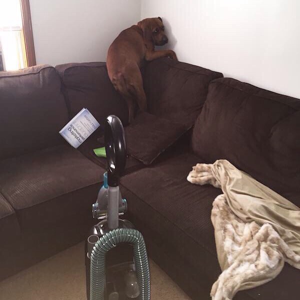 "Please, don't let the vacuum kill me!"