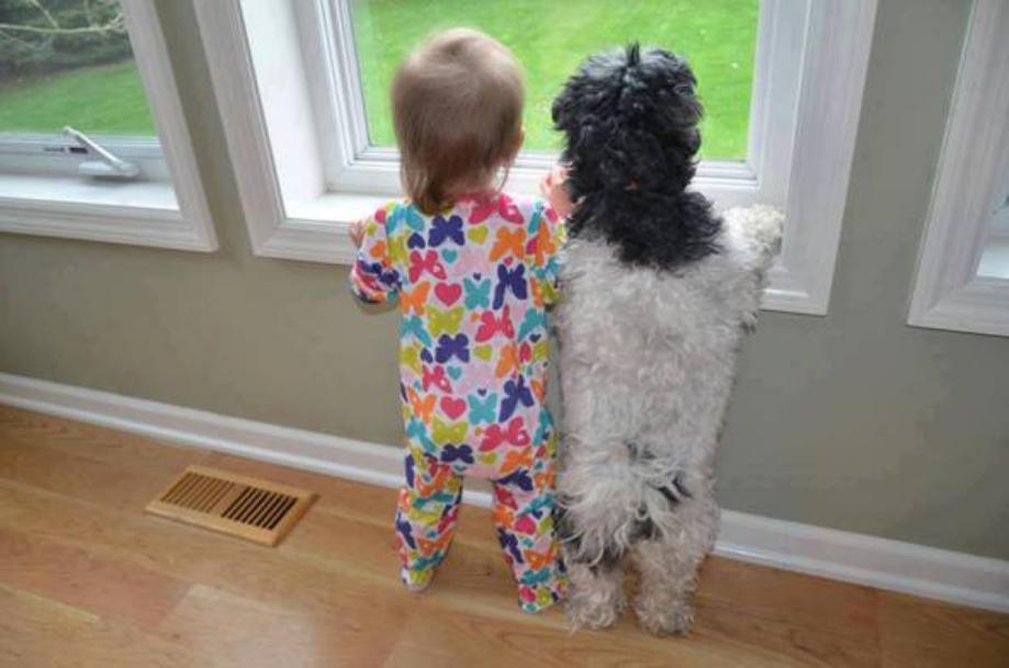 Kids And Dogs That Are The Best Of Friends!