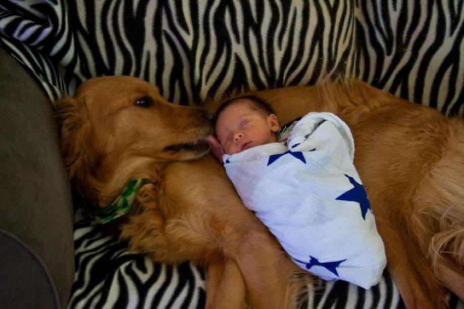 Kids And Dogs That Are The Best Of Friends!