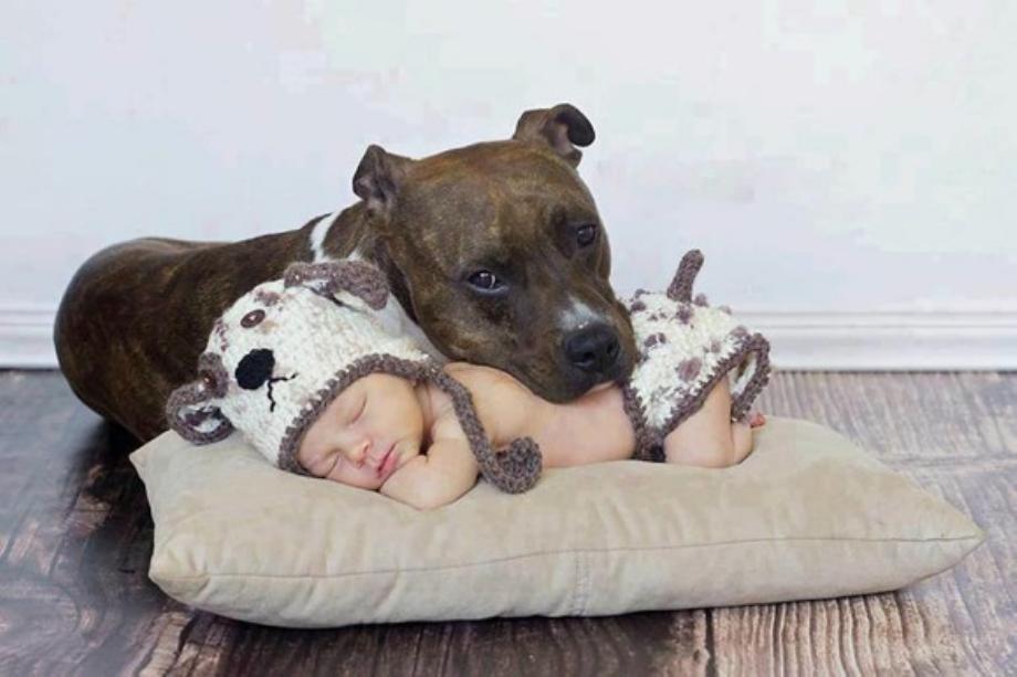 Kids And Dogs That Are The Best Of Friends!