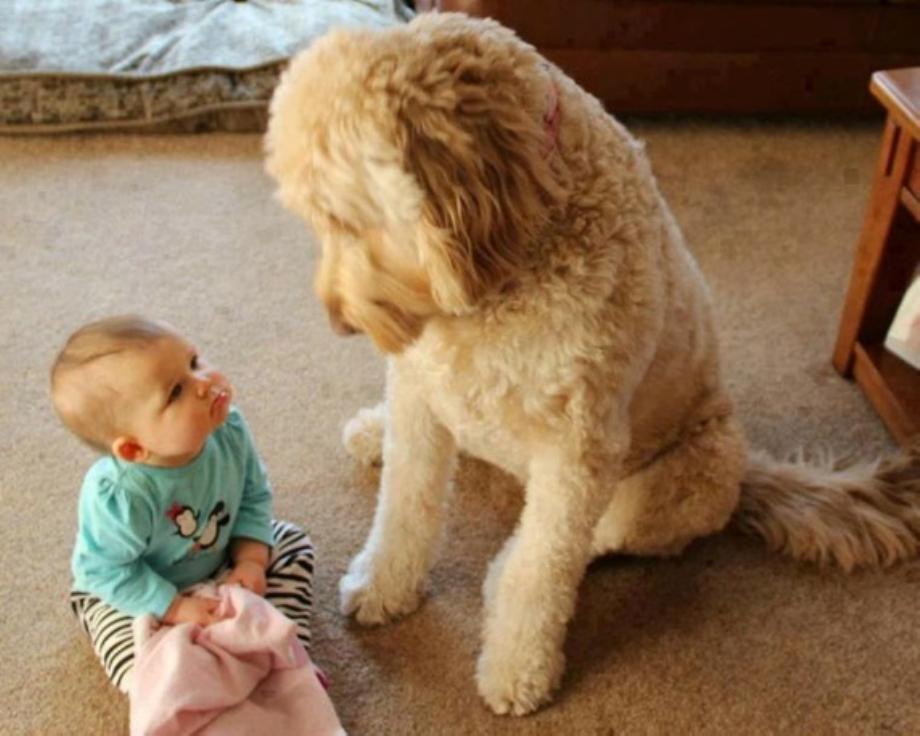 Kids And Dogs That Are The Best Of Friends!