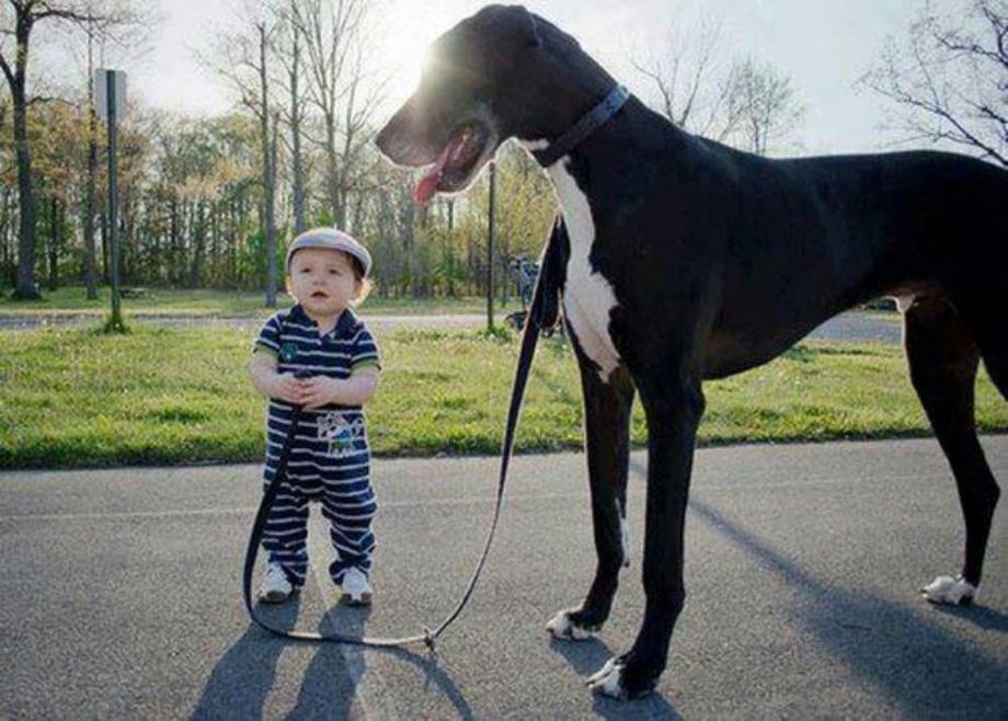 Kids And Dogs That Are The Best Of Friends!