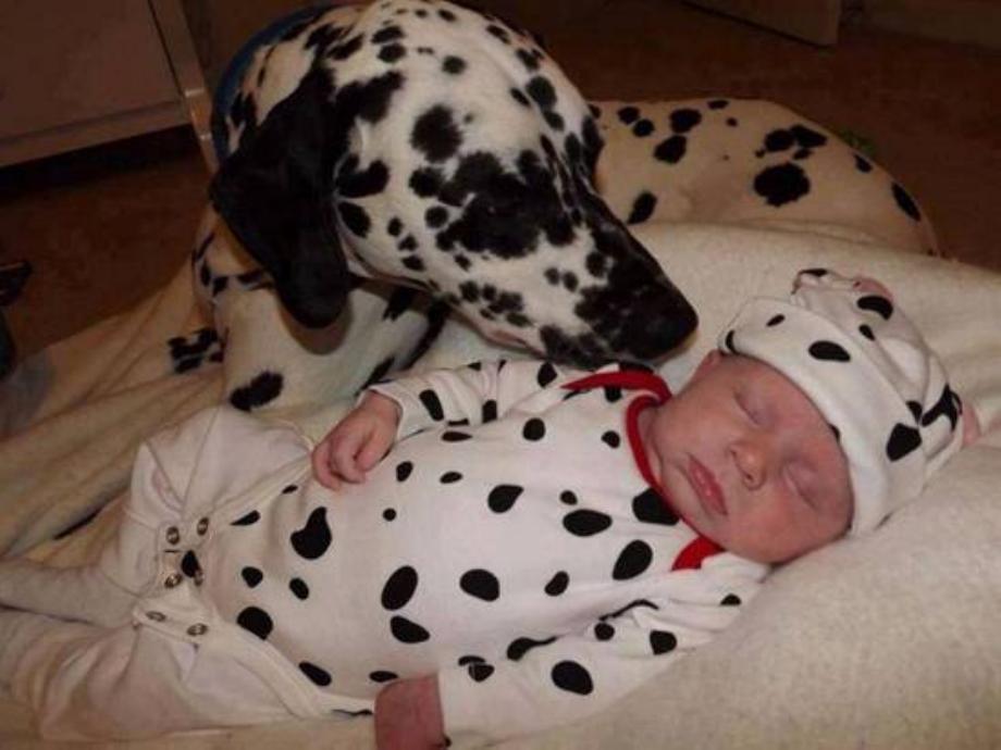 Kids And Dogs That Are The Best Of Friends!