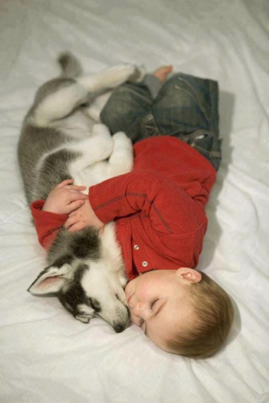 Kids And Dogs That Are The Best Of Friends!