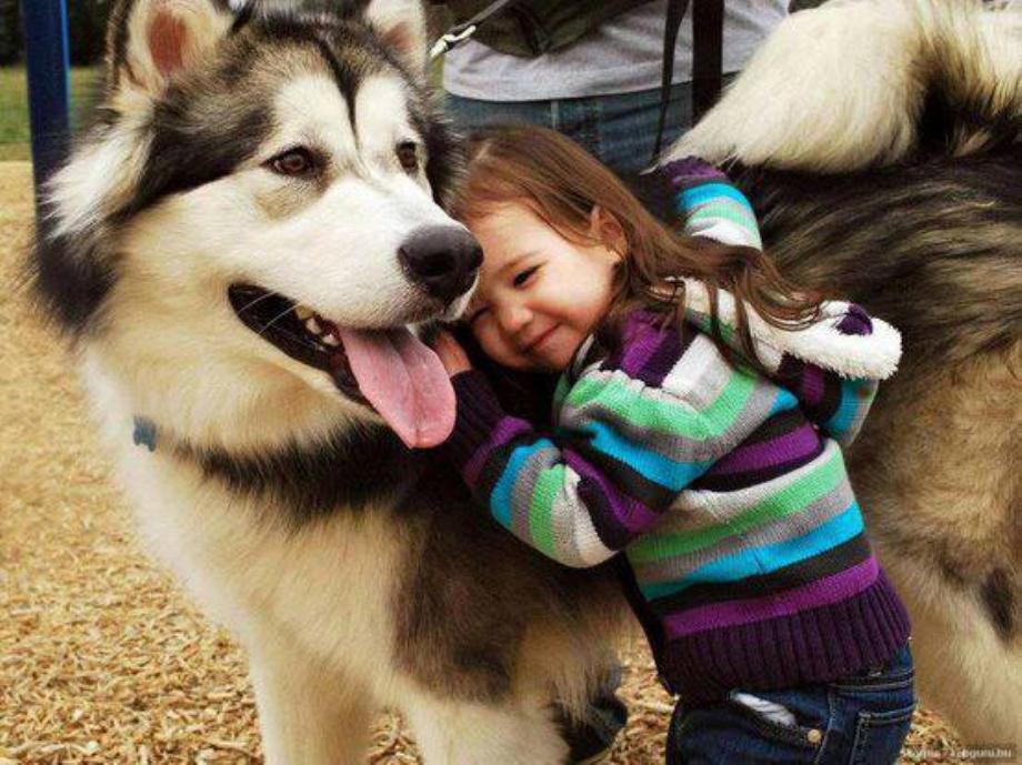 Kids And Dogs That Are The Best Of Friends!