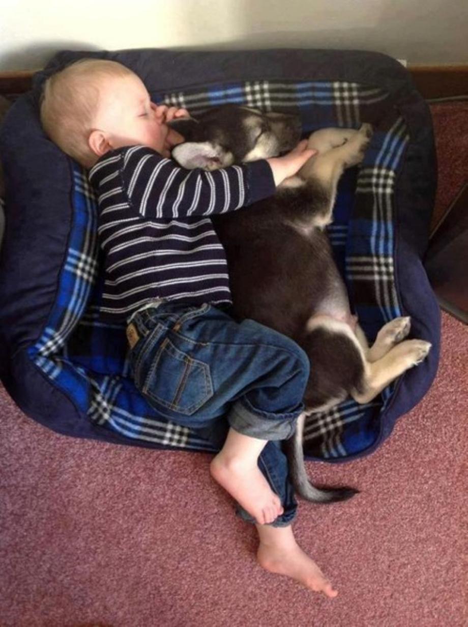 Kids And Dogs That Are The Best Of Friends!