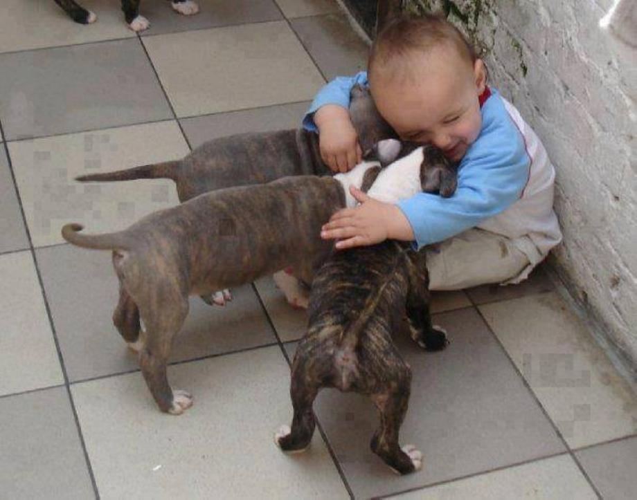 Kids And Dogs That Are The Best Of Friends!