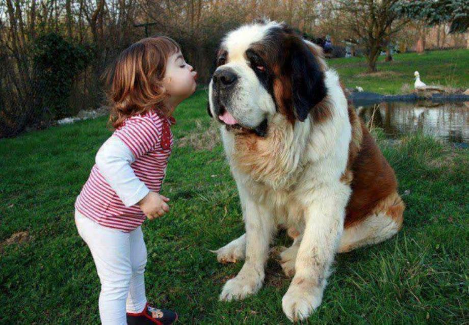 Kids And Dogs That Are The Best Of Friends!