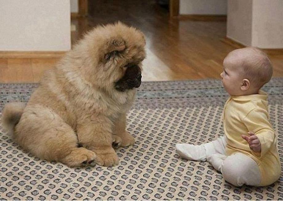 Kids And Dogs That Are The Best Of Friends!