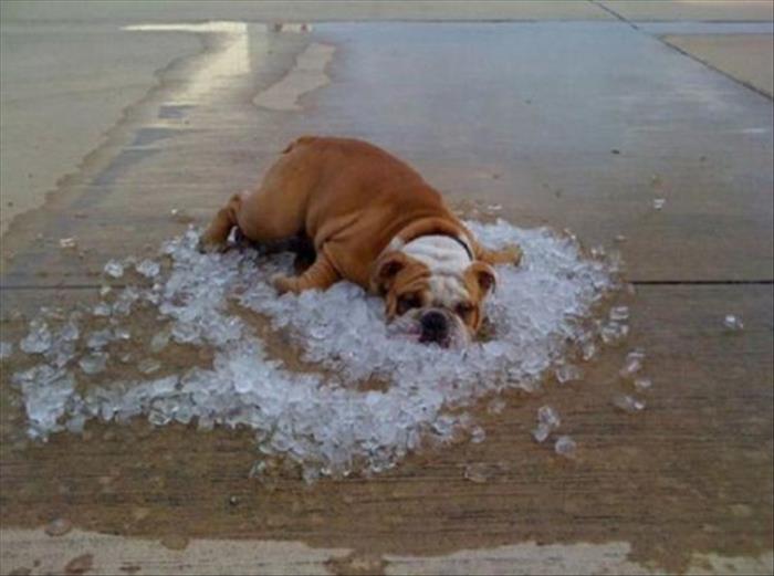 You Know It's Hot Outside When...