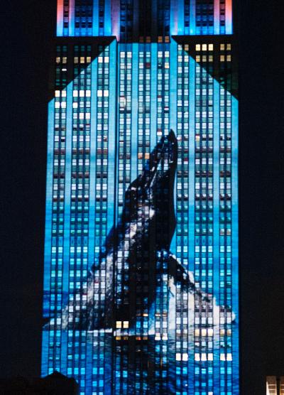 The extraordinary nature scenes were beamed across 33 floors of the iconic tower’s southern face.