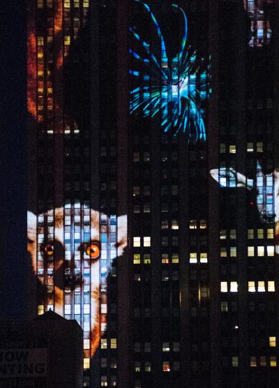 The moving images were generated by 40 stacked, 20,000-lumen projectors perched on the roof of a building opposite the skyscraper.