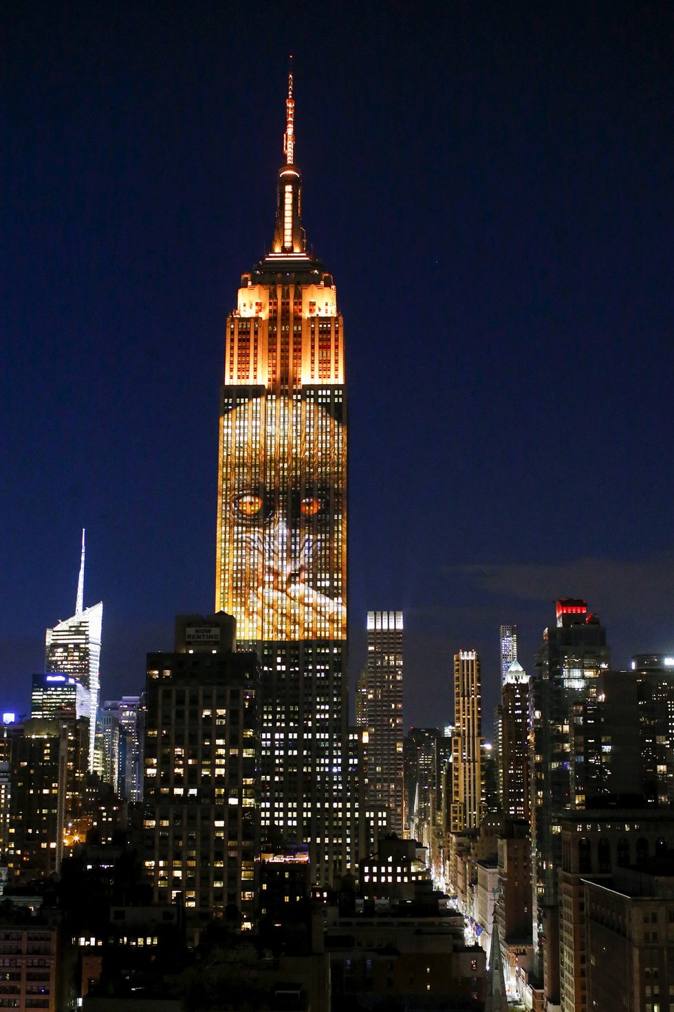 Empire State Building Projects Images Of Endangered Species