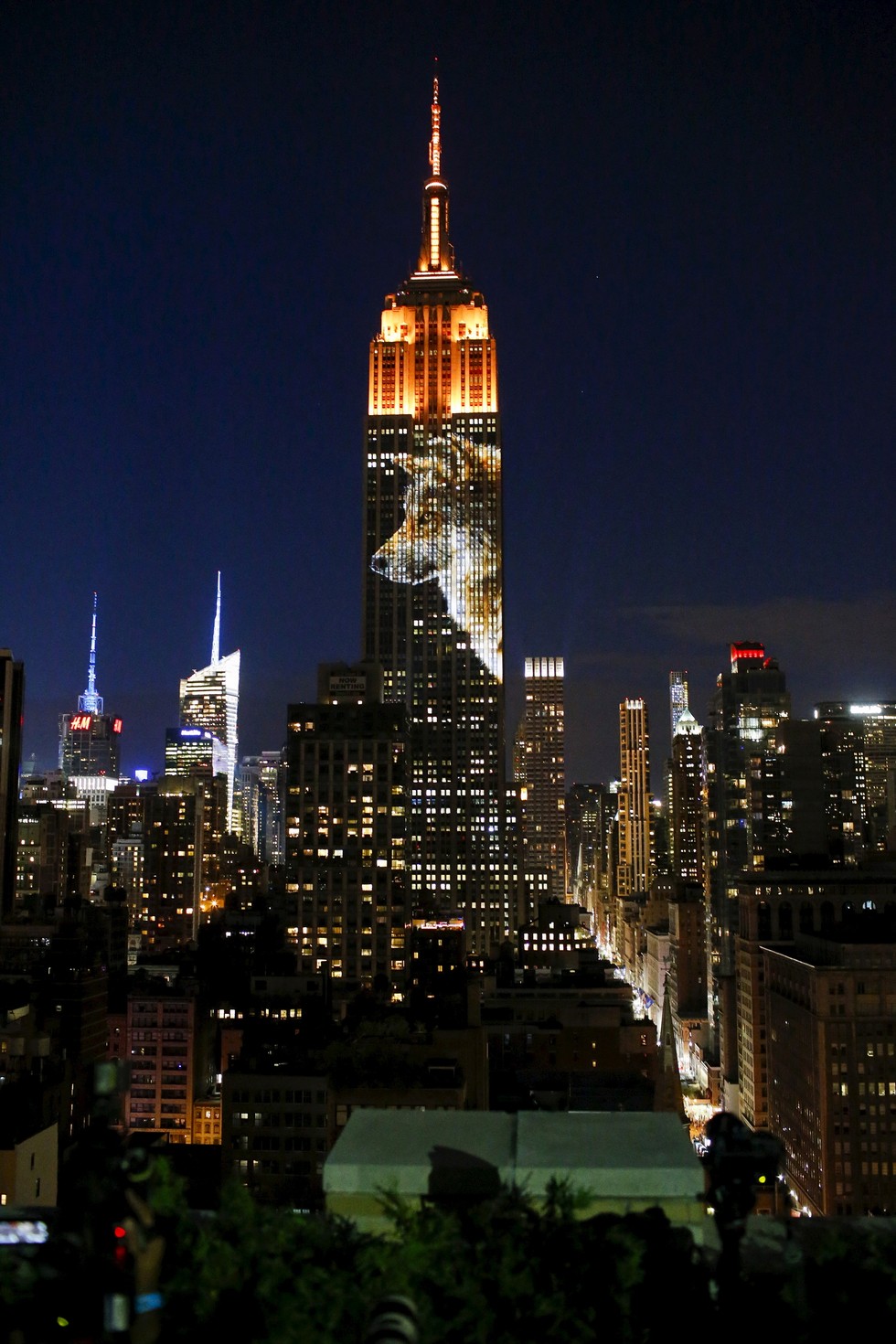 Empire State Building Projects Images Of Endangered Species