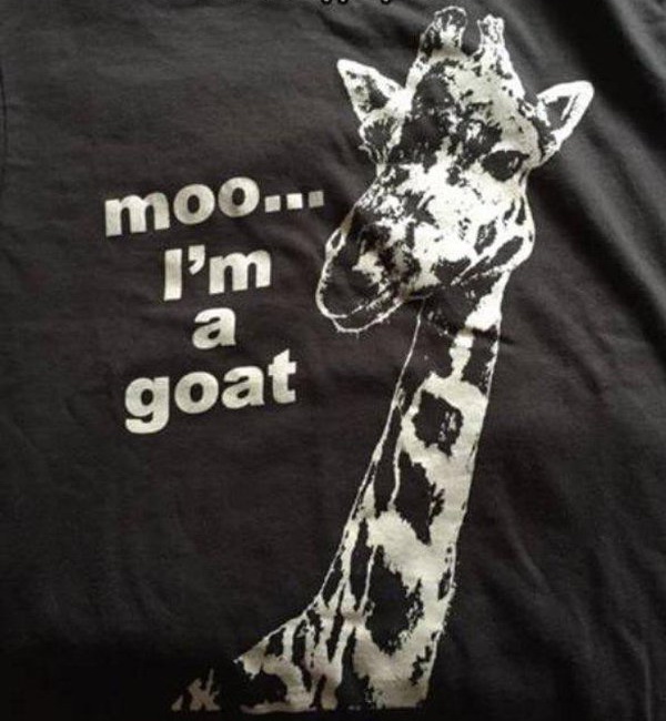 random giraffe - moo... I'm la Pm a goat