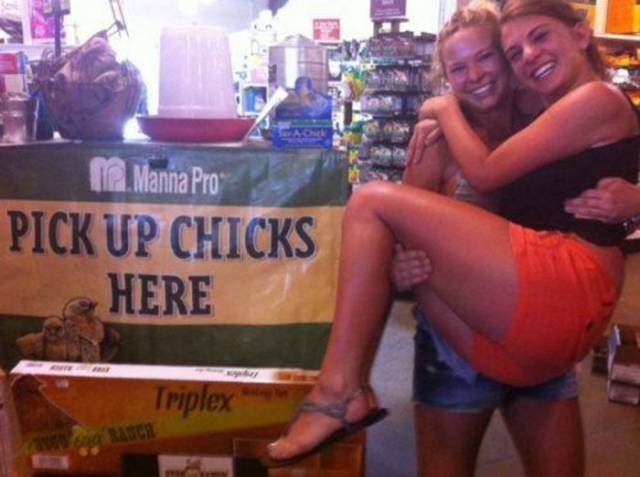 pick up chicks literally - 1. Manna Pro Pick Up Chicks Here Triplex