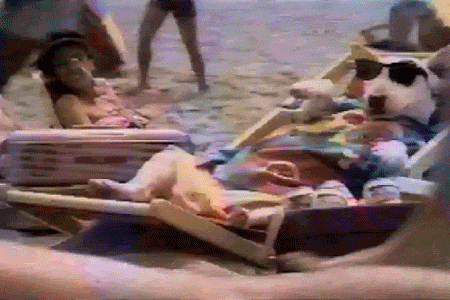 23 Awesome Gifs For Your Viewing Pleasure