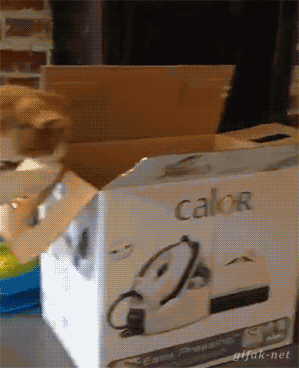 24 Awesome Gifs For Your Viewing Pleasure!