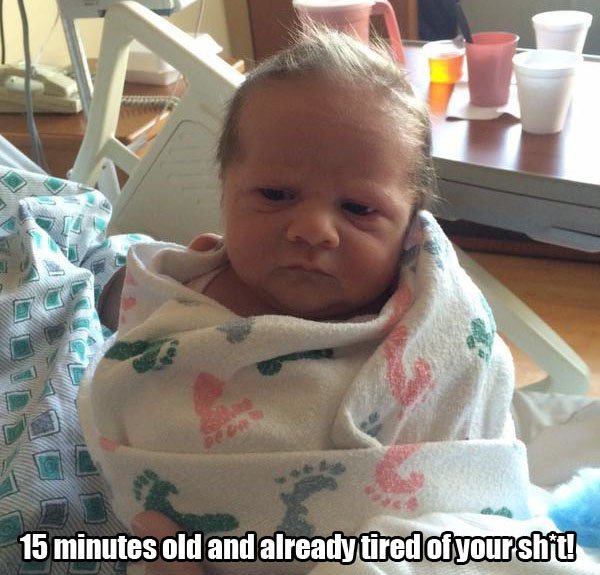 funny pet pictures with captions - 15 minutes old and already tired of yourshit!