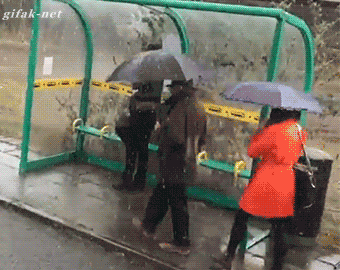28 Random Gifs For Your Viewing Pleasure