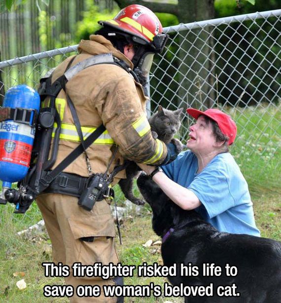 funny meme for fireman - rger This firefighter risked his life to save one woman's beloved cat.