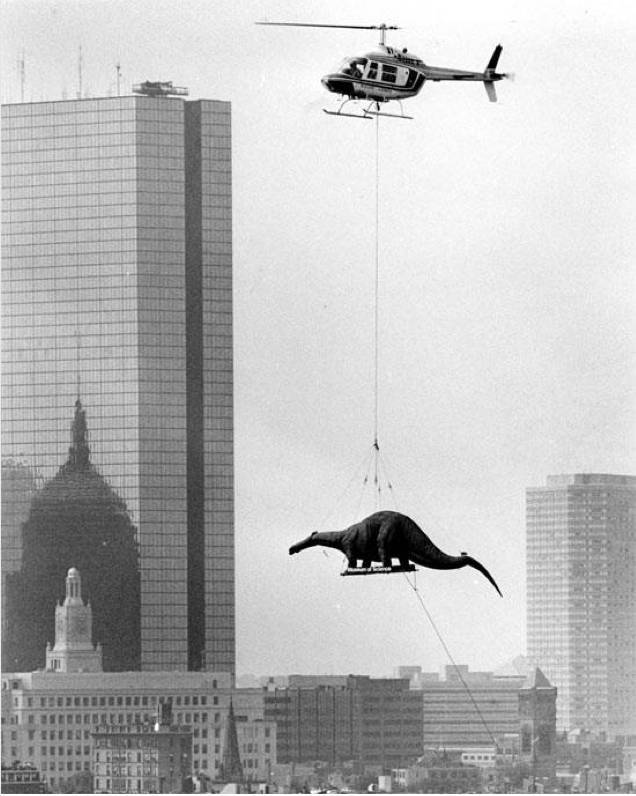delivering a dinosaur to the boston museum