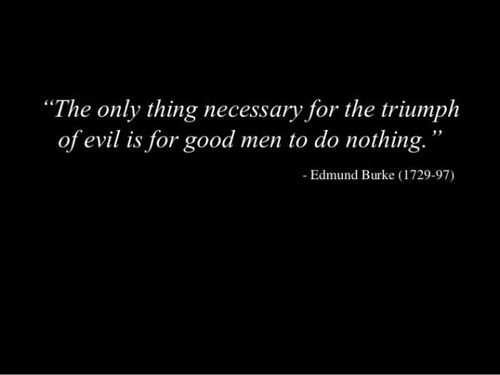 darkness - The only thing necessary for the triumph of evil is for good men to do nothing." Edmund Burke 172997
