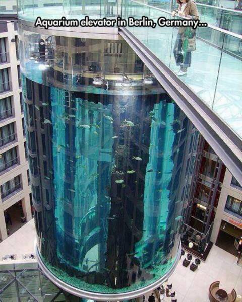 random aquadom berlin - Aquarium elevator in Berlin, Germany...
